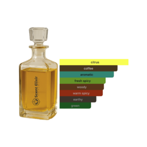 Scent Elixir Oil Impression Of Valentino - Uomo Born in Roma Green Stravaganza